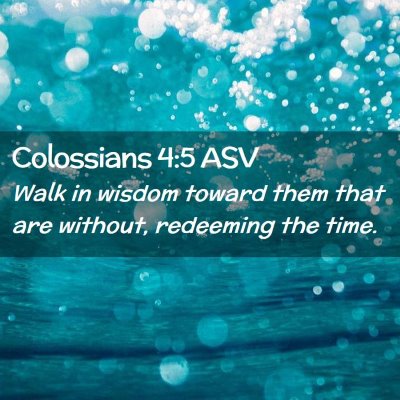 Picture 02 - Colossians 4:5 ASV - Walk in wisdom toward them that are without, - Bible Verse Picture