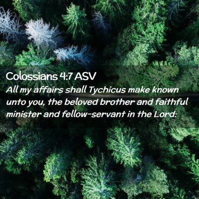 Picture 02 - Colossians 4:7 ASV - All my affairs shall Tychicus make known unto - Bible Verse Picture