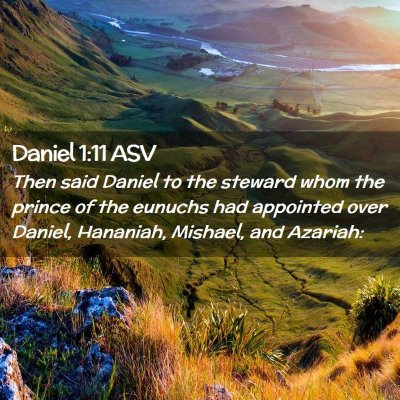 Picture 02 - Daniel 1:11 ASV - Then said Daniel to the steward whom the prince - Bible Verse Picture