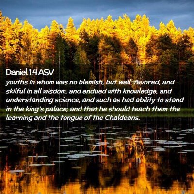 Picture 02 - Daniel 1:4 ASV - youths in whom was no blemish, but well-favored, - Bible Verse Picture