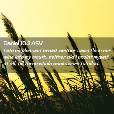 Picture 02 - Daniel 10:3 ASV - I ate no pleasant bread, neither came flesh nor - Bible Verse Picture