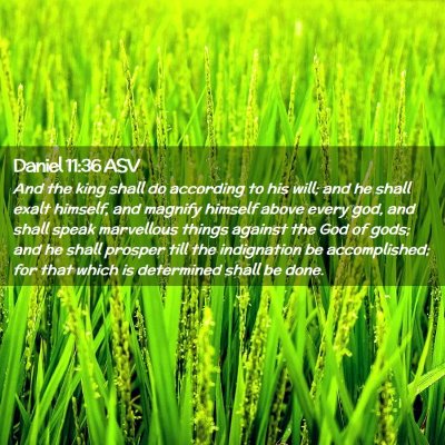 Picture 02 - Daniel 11:36 ASV - And the king shall do according to his will; and - Bible Verse Picture