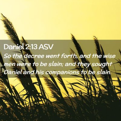 Picture 02 - Daniel 2:13 ASV - So the decree went forth, and the wise men were - Bible Verse Picture