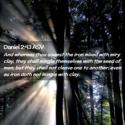 Picture 02 - Daniel 2:43 ASV - And whereas thou sawest the iron mixed with miry - Bible Verse Picture