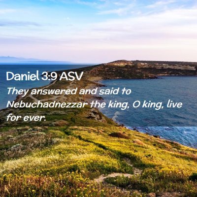 Picture 02 - Daniel 3:9 ASV - They answered and said to Nebuchadnezzar the - Bible Verse Picture