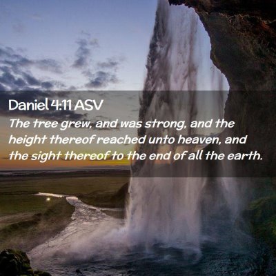 Picture 02 - Daniel 4:11 ASV - The tree grew, and was strong, and the height - Bible Verse Picture