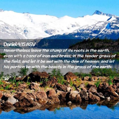 Picture 02 - Daniel 4:15 ASV - Nevertheless leave the stump of its roots in the - Bible Verse Picture