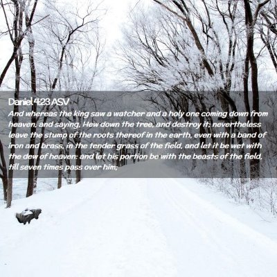Picture 02 - Daniel 4:23 ASV - And whereas the king saw a watcher and a holy one - Bible Verse Picture