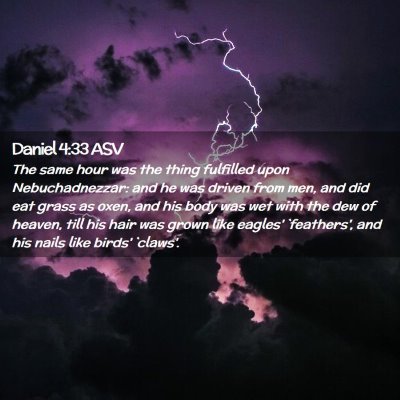 Picture 02 - Daniel 4:33 ASV - The same hour was the thing fulfilled upon - Bible Verse Picture