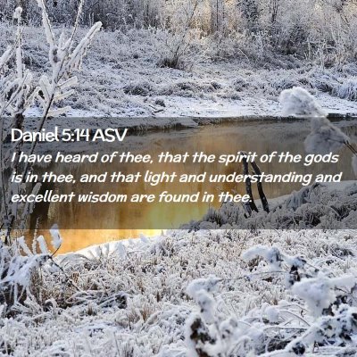 Picture 02 - Daniel 5:14 ASV - I have heard of thee, that the spirit of the gods - Bible Verse Picture