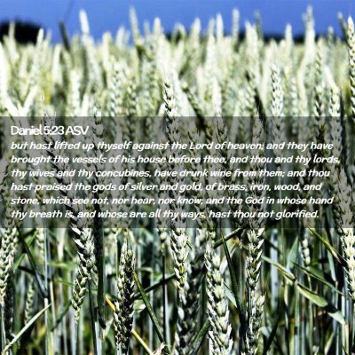 Picture 02 - Daniel 5:23 ASV - but hast lifted up thyself against the Lord of - Bible Verse Picture