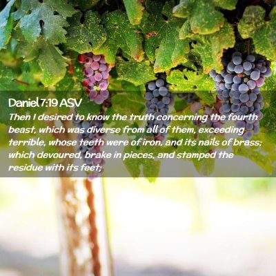 Picture 02 - Daniel 7:19 ASV - Then I desired to know the truth concerning the - Bible Verse Picture