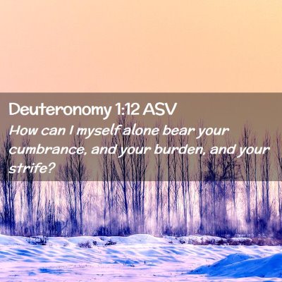 Picture 02 - Deuteronomy 1:12 ASV - How can I myself alone bear your cumbrance, and - Bible Verse Picture