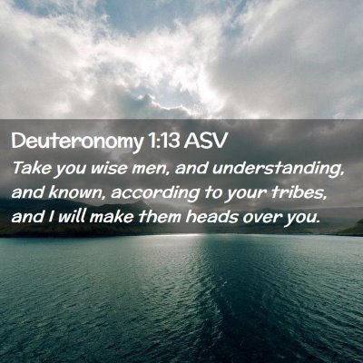 Picture 02 - Deuteronomy 1:13 ASV - Take you wise men, and understanding, and known, - Bible Verse Picture