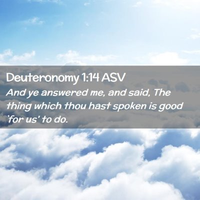 Picture 02 - Deuteronomy 1:14 ASV - And ye answered me, and said, The thing which - Bible Verse Picture