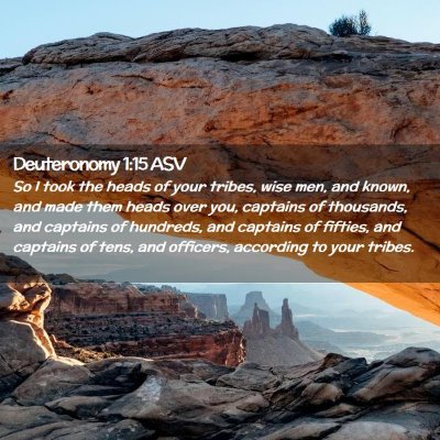 Picture 02 - Deuteronomy 1:15 ASV - So I took the heads of your tribes, wise men, and - Bible Verse Picture