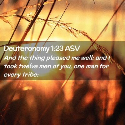 Picture 02 - Deuteronomy 1:23 ASV - And the thing pleased me well; and I took twelve - Bible Verse Picture