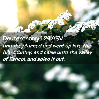 Picture 02 - Deuteronomy 1:24 ASV - and they turned and went up into the - Bible Verse Picture