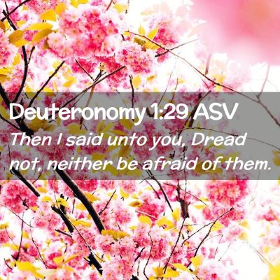 Picture 02 - Deuteronomy 1:29 ASV - Then I said unto you, Dread not, neither be - Bible Verse Picture