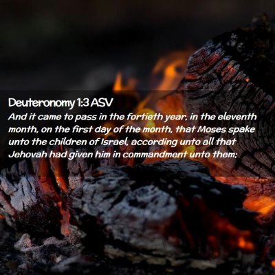 Picture 02 - Deuteronomy 1:3 ASV - And it came to pass in the fortieth year, in the - Bible Verse Picture