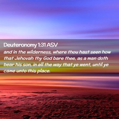Picture 02 - Deuteronomy 1:31 ASV - and in the wilderness, where thou hast seen how - Bible Verse Picture