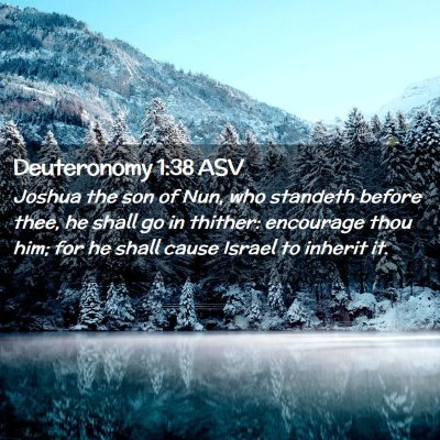 Picture 02 - Deuteronomy 1:38 ASV - Joshua the son of Nun, who standeth before thee, - Bible Verse Picture