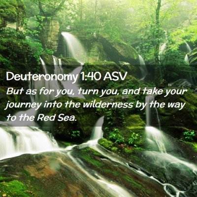 Picture 02 - Deuteronomy 1:40 ASV - But as for you, turn you, and take your journey - Bible Verse Picture