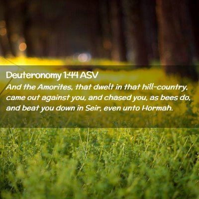 Picture 02 - Deuteronomy 1:44 ASV - And the Amorites, that dwelt in that - Bible Verse Picture