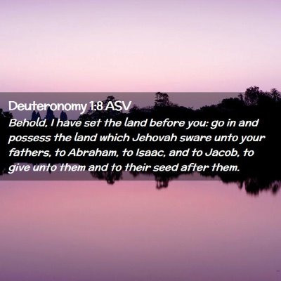 Picture 02 - Deuteronomy 1:8 ASV - Behold, I have set the land before you: go in and - Bible Verse Picture