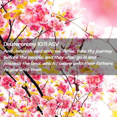 Picture 02 - Deuteronomy 10:11 ASV - And Jehovah said unto me, Arise, take thy journey - Bible Verse Picture