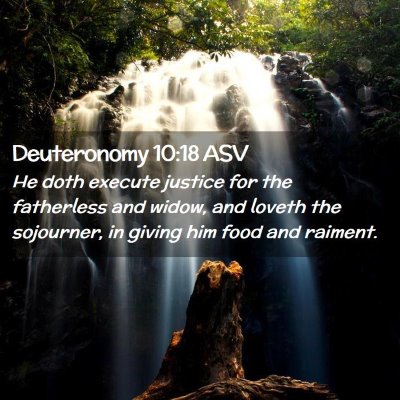 Picture 02 - Deuteronomy 10:18 ASV - He doth execute justice for the fatherless and - Bible Verse Picture