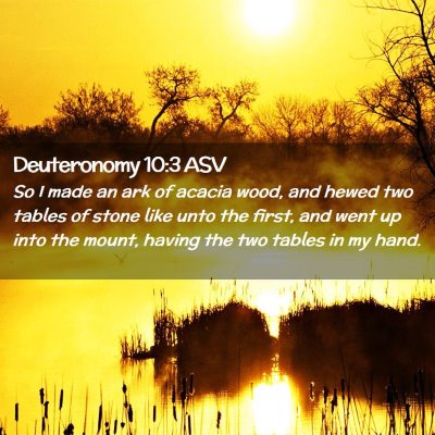 Picture 02 - Deuteronomy 10:3 ASV - So I made an ark of acacia wood, and hewed two - Bible Verse Picture