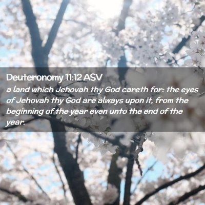 Picture 02 - Deuteronomy 11:12 ASV - a land which Jehovah thy God careth for: the eyes - Bible Verse Picture