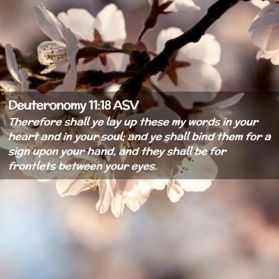 Picture 02 - Deuteronomy 11:18 ASV - Therefore shall ye lay up these my words in your - Bible Verse Picture