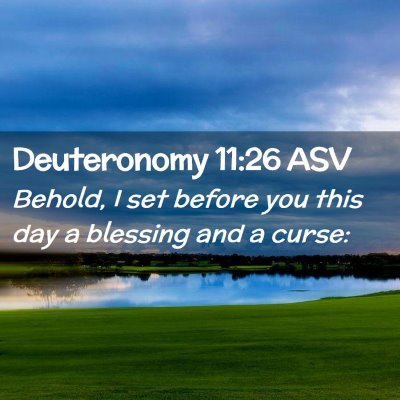 Picture 02 - Deuteronomy 11:26 ASV - Behold, I set before you this day a blessing and - Bible Verse Picture
