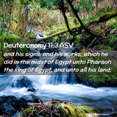 Picture 02 - Deuteronomy 11:3 ASV - and his signs, and his works, which he did in the - Bible Verse Picture