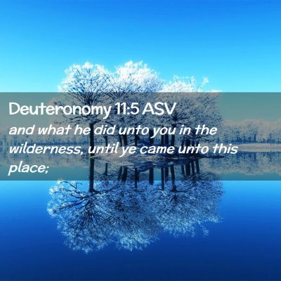 Picture 02 - Deuteronomy 11:5 ASV - and what he did unto you in the wilderness, until - Bible Verse Picture