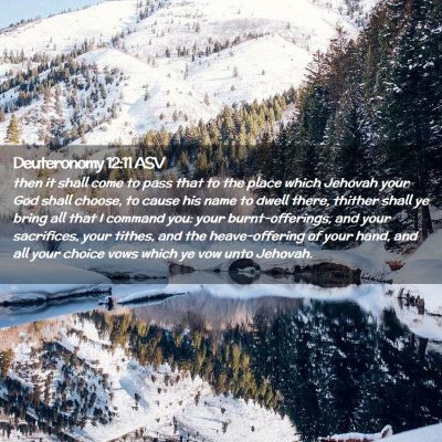 Picture 02 - Deuteronomy 12:11 ASV - then it shall come to pass that to the place - Bible Verse Picture