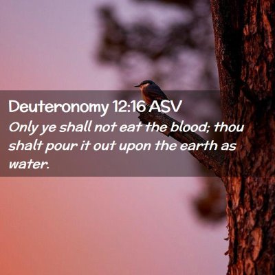 Picture 02 - Deuteronomy 12:16 ASV - Only ye shall not eat the blood; thou shalt pour - Bible Verse Picture