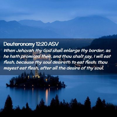 Picture 02 - Deuteronomy 12:20 ASV - When Jehovah thy God shall enlarge thy border, as - Bible Verse Picture