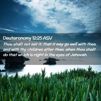 Picture 02 - Deuteronomy 12:25 ASV - Thou shalt not eat it; that it may go well with - Bible Verse Picture