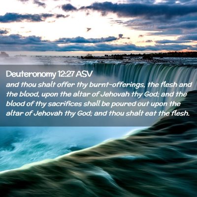 Picture 02 - Deuteronomy 12:27 ASV - and thou shalt offer thy burnt-offerings, the - Bible Verse Picture