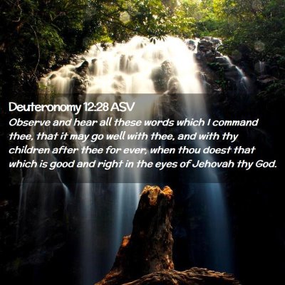 Picture 02 - Deuteronomy 12:28 ASV - Observe and hear all these words which I command - Bible Verse Picture