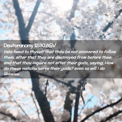 Picture 02 - Deuteronomy 12:30 ASV - take heed to thyself that thou be not ensnared to - Bible Verse Picture