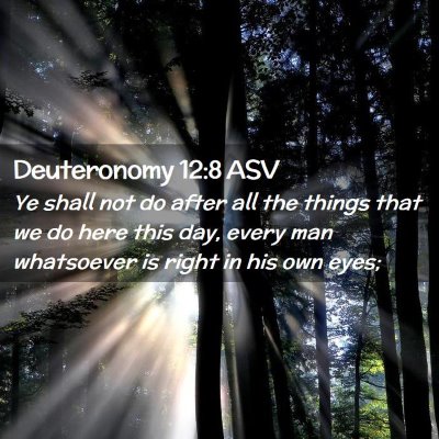 Picture 02 - Deuteronomy 12:8 ASV - Ye shall not do after all the things that we do - Bible Verse Picture