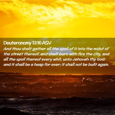Picture 02 - Deuteronomy 13:16 ASV - And thou shalt gather all the spoil of it into - Bible Verse Picture