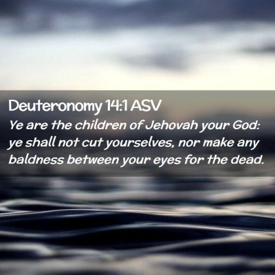 Picture 02 - Deuteronomy 14:1 ASV - Ye are the children of Jehovah your God: ye shall - Bible Verse Picture