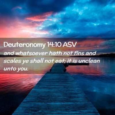 Picture 02 - Deuteronomy 14:10 ASV - and whatsoever hath not fins and scales ye shall - Bible Verse Picture