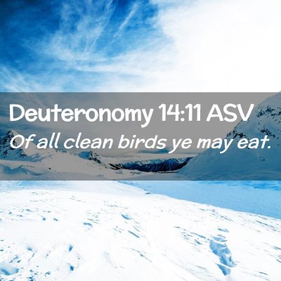 Picture 02 - Deuteronomy 14:11 ASV - Of all clean birds ye may - Bible Verse Picture