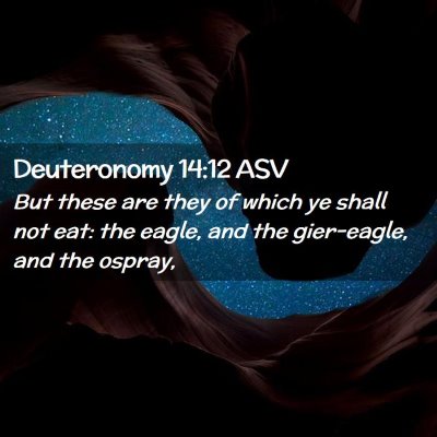 Picture 02 - Deuteronomy 14:12 ASV - But these are they of which ye shall not eat: the - Bible Verse Picture